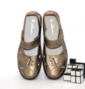 ������ ����� ������ ���� �� ������� ���������� ������� 6