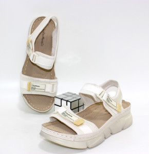 ˳��� ����� ������