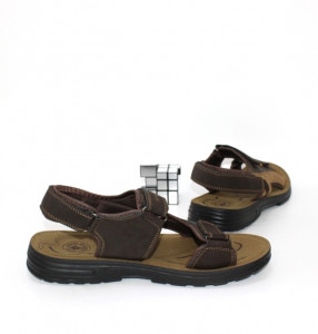 ������ ������� ������ �� ����� �������� ��� ������� (��������) 4