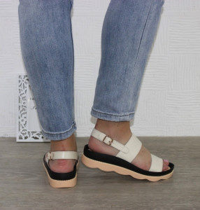 ������ ��������� ����������� Comfort 112422. ��� �� - ������� 3