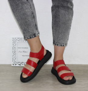 ������ ��������� ������������ Sali. ��� ��� - ������� 2