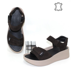 ˳��� ����� ������