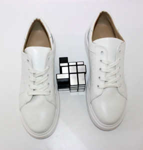 ������� ���������