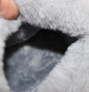 ������ ���� ����� �� �������� ��� ���� 6