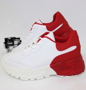 ������� ���������
