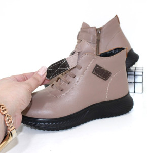 ������ ������� ������� 36-41 �����/����� � 1203 ��� 7